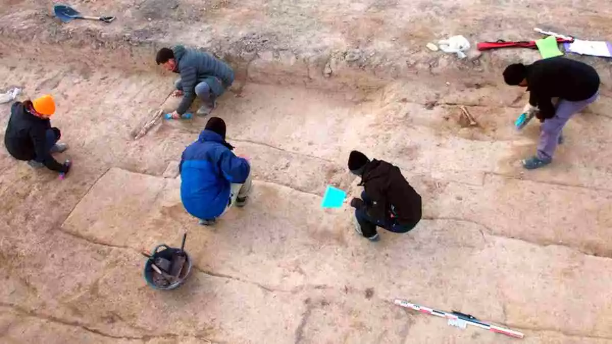 Diversos arqueòlegs treballant per obrir les fosses de Miravet