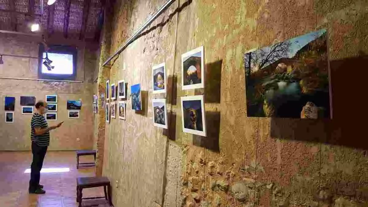Exposició fotogràfica a Cabacés, al Priorat discover