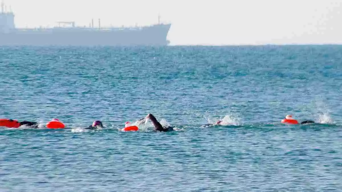 Imatge de diversos nedadors, davant de la costa tarragonina