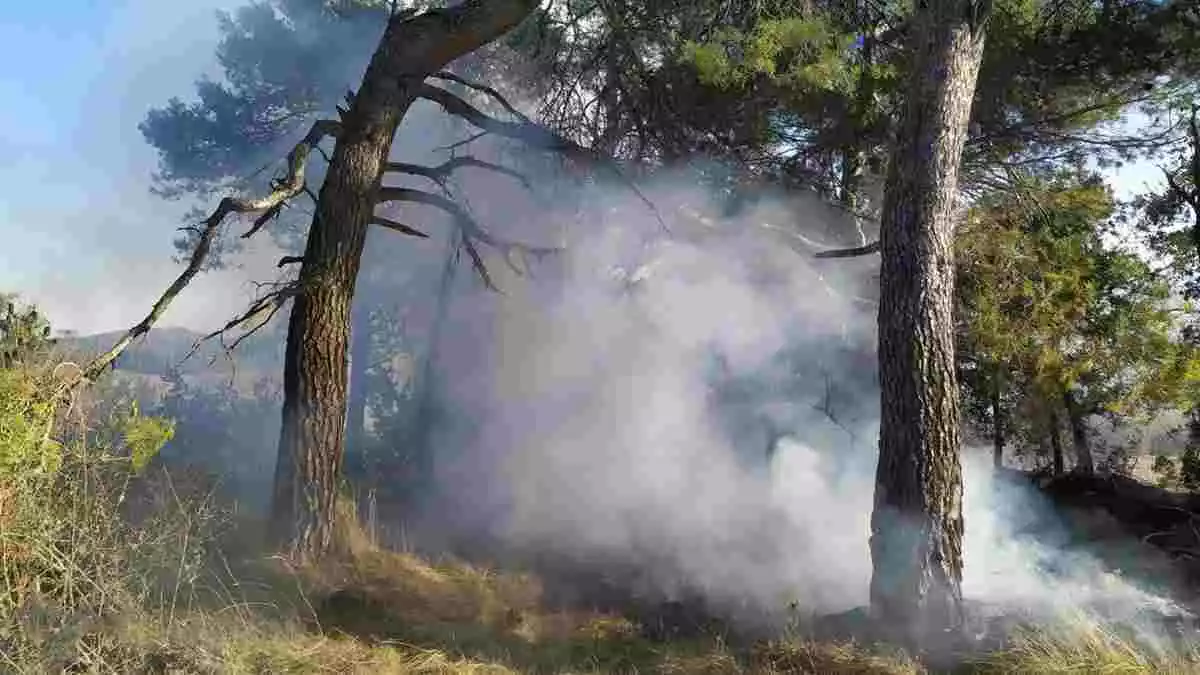 Imatge de l'incendi agrícola a Santa Coloma de Queralt