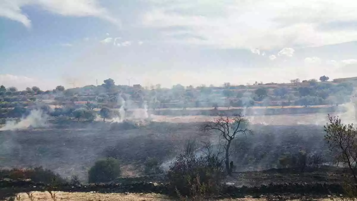 Imatge de l'incendi que crema al barranc de Voravall, a Batea