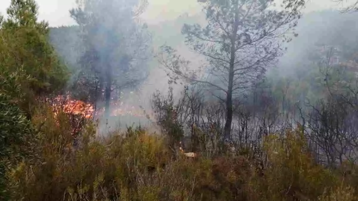 Imatge d'un incendi a la zona del barranc del Pont Trencat, al Perelló