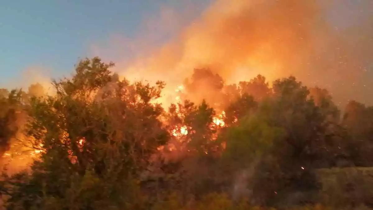 Imatge d'un incendi forestal, a Tortosa