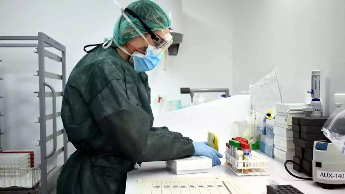 Imatge d'un laboratori duent a terme l'anàlisi de proves de PCR per detectar la presència del coronavirus