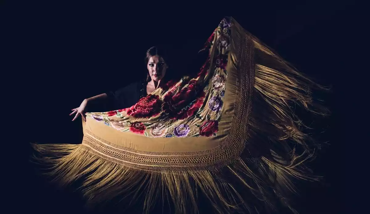 Una imatge de l'espectacle 'Flamencolife'.