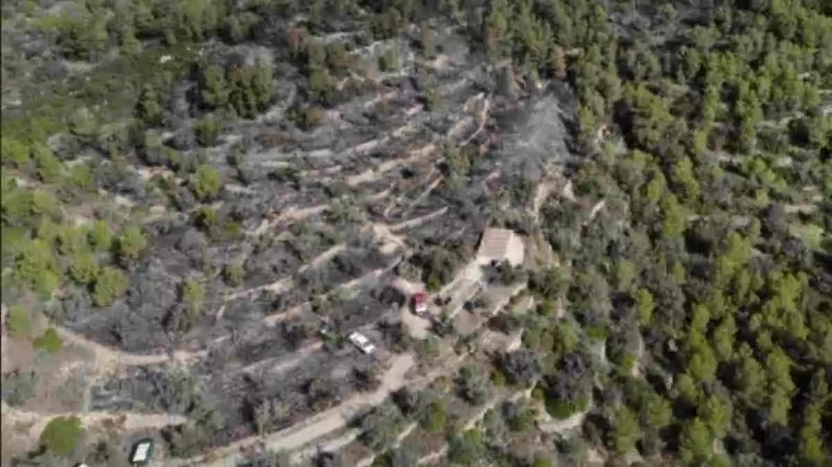 Vista aèria de la zona forestal afectada per un incendi al Collredó de Tortosa