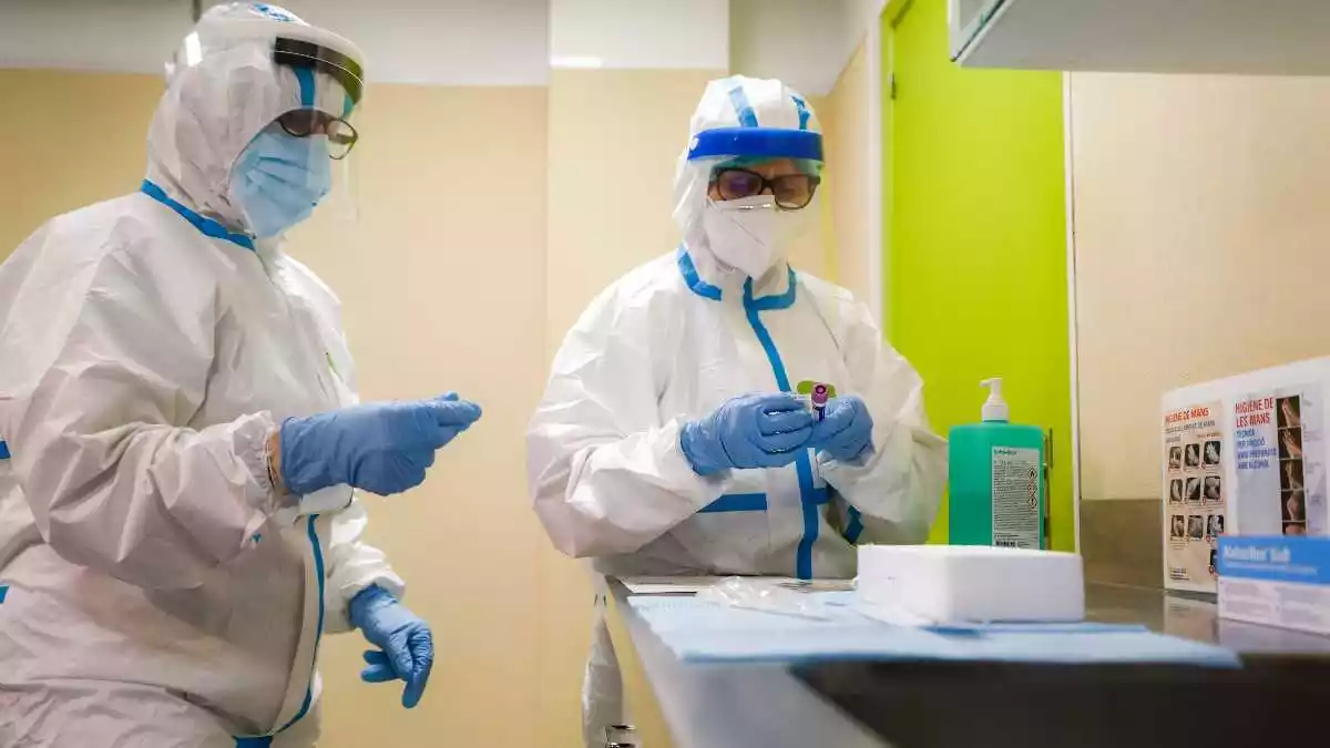 Dues sanitàries protegides preparant el material per realitzar proves PCR