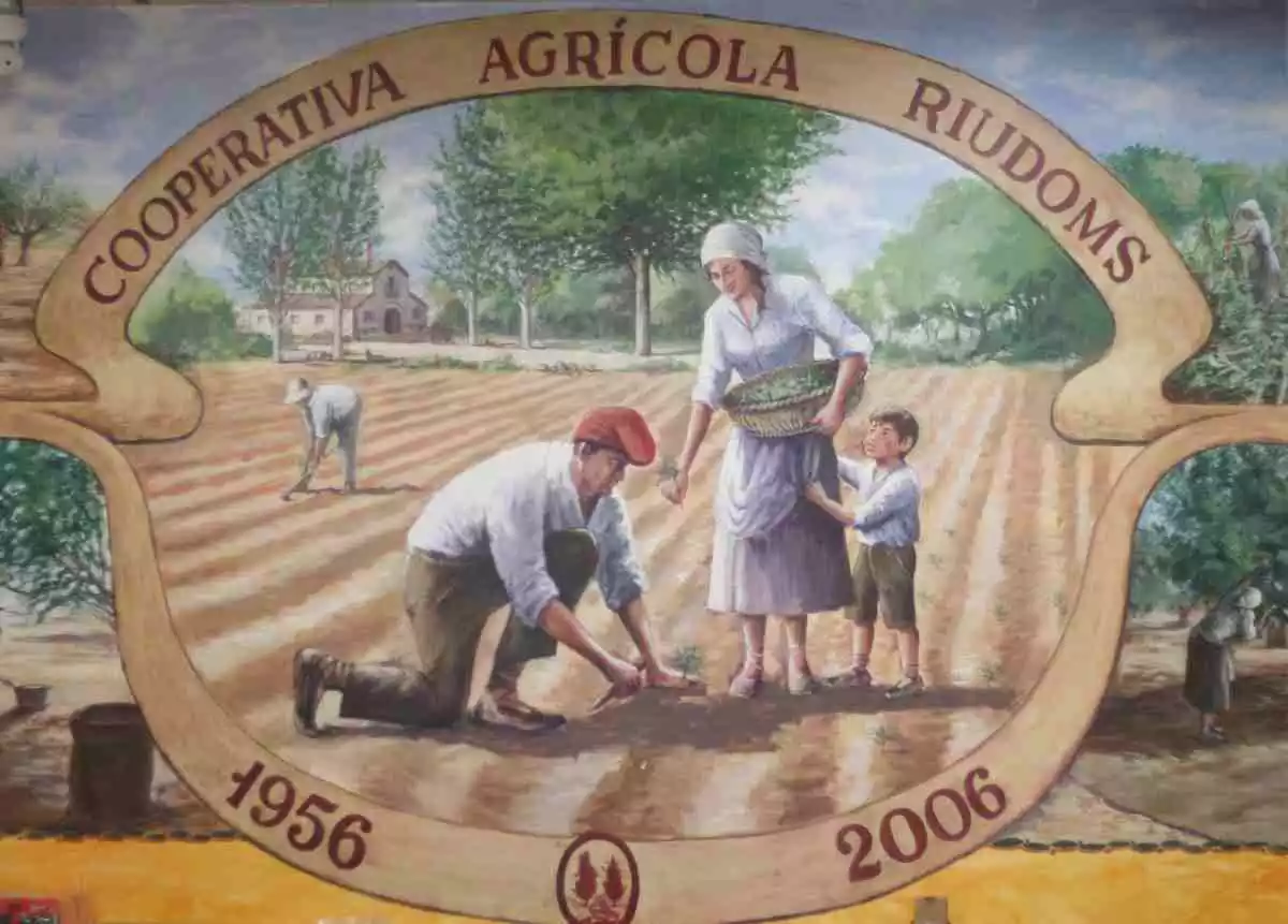Imatge d'un mural de la Cooperativa Agrícola de Riudoms