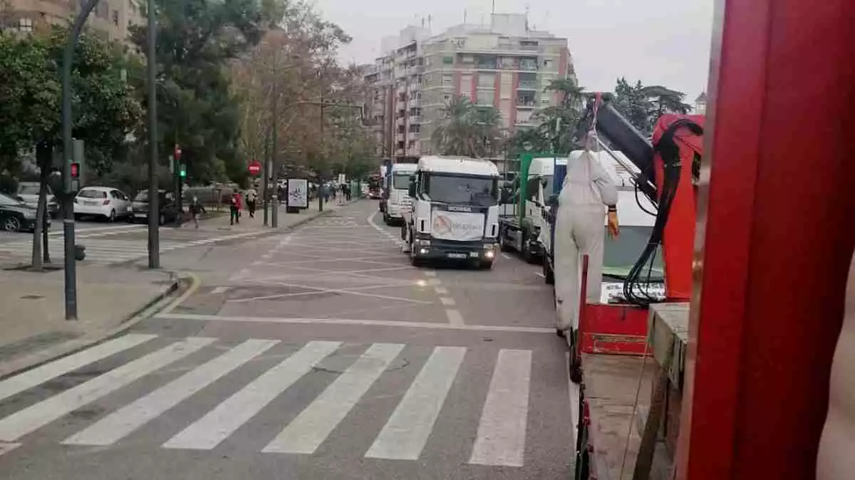 Pla general de camions i vehicles d'apicultors circulant pels carrers de València