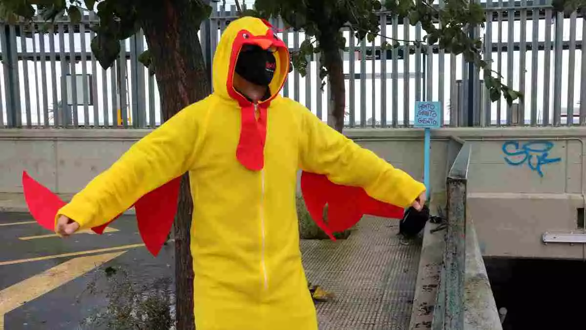 Pla mitjà del còmic Guillem Estadella vestit de pollastre amb motiu del seu nou espectacle 'Quin pollastre!'