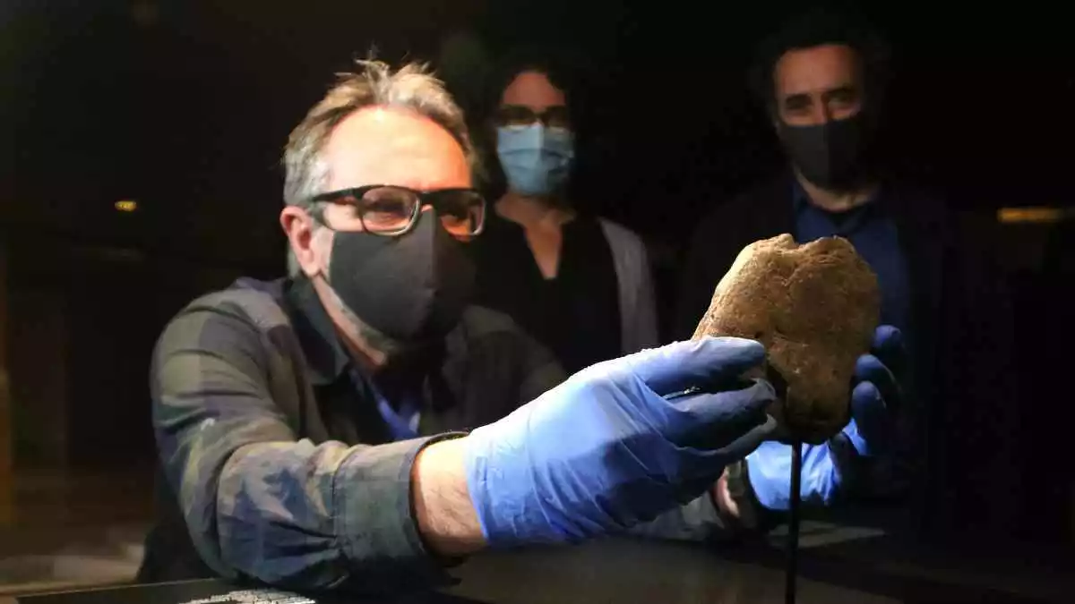 El conservador de les col·leccions de prehistòria del Museu d’Arqueologia de Catalunya, Antoni Palomo, col·loca la placa de pedra