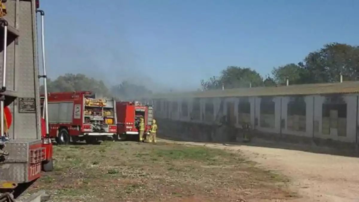 Imatge d'arxiu d'un incendi en una granja del Montsià