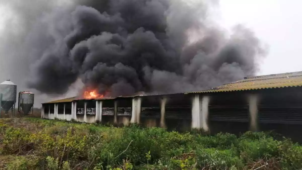 Imatge de l'incendi que crema en una granja abandonada a Riudoms