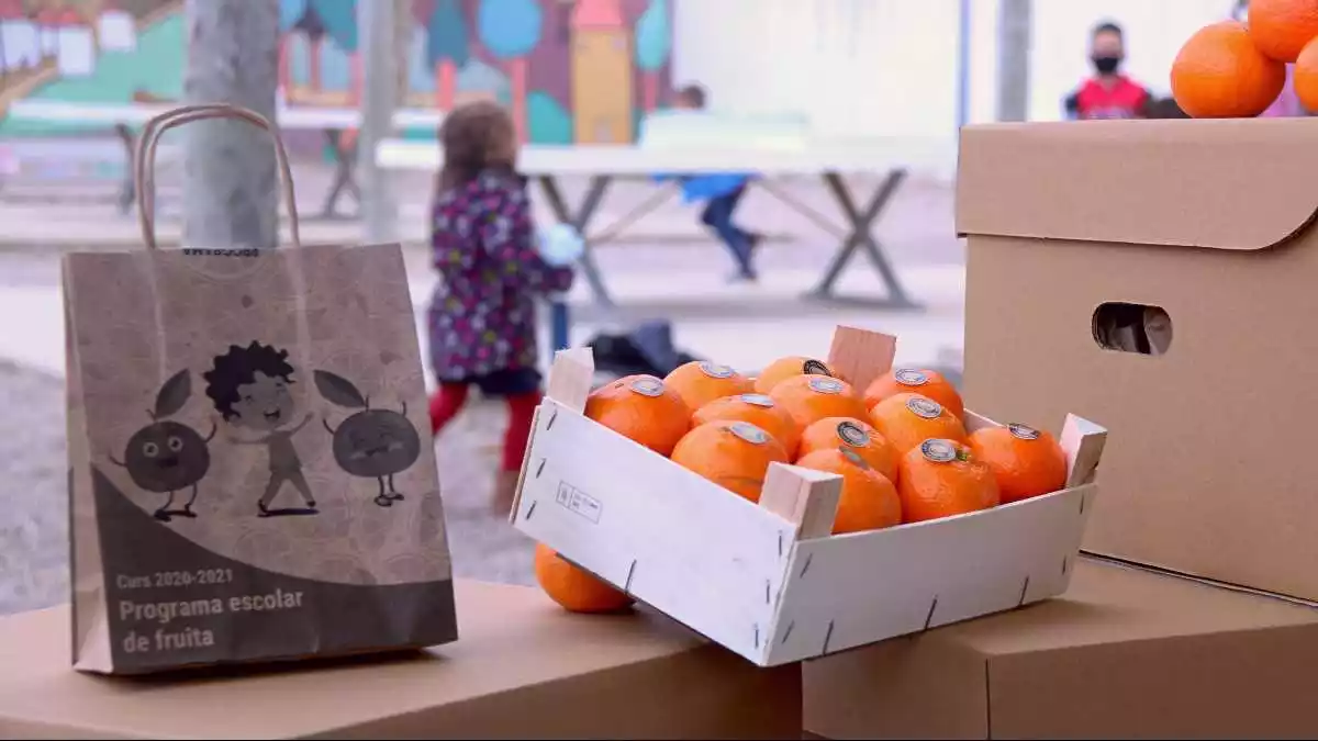 Pla detall d'una caixa i una bossa de clementines del Programa de fruita a les escoles al pati de l'escola Joan Baptista Serra d'Alcanar