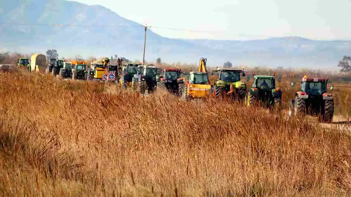 Pla general d'una filera de tractors començant la marxa lenta d'UP al Delta des de la platja de la Marquesa