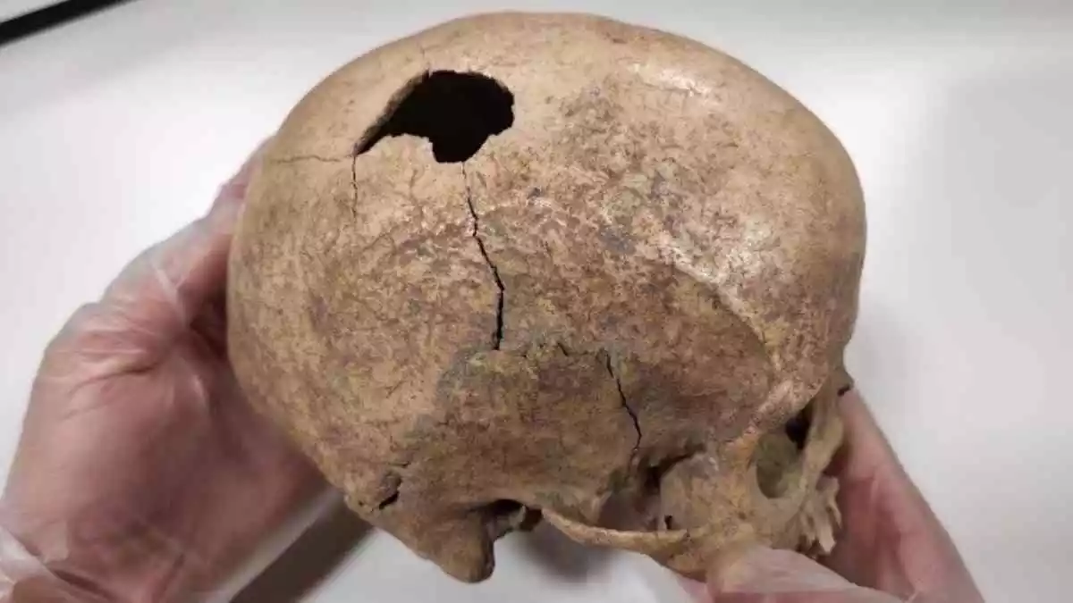 Un crani trobat en el jaciment de la Cova Foradada de Calafell