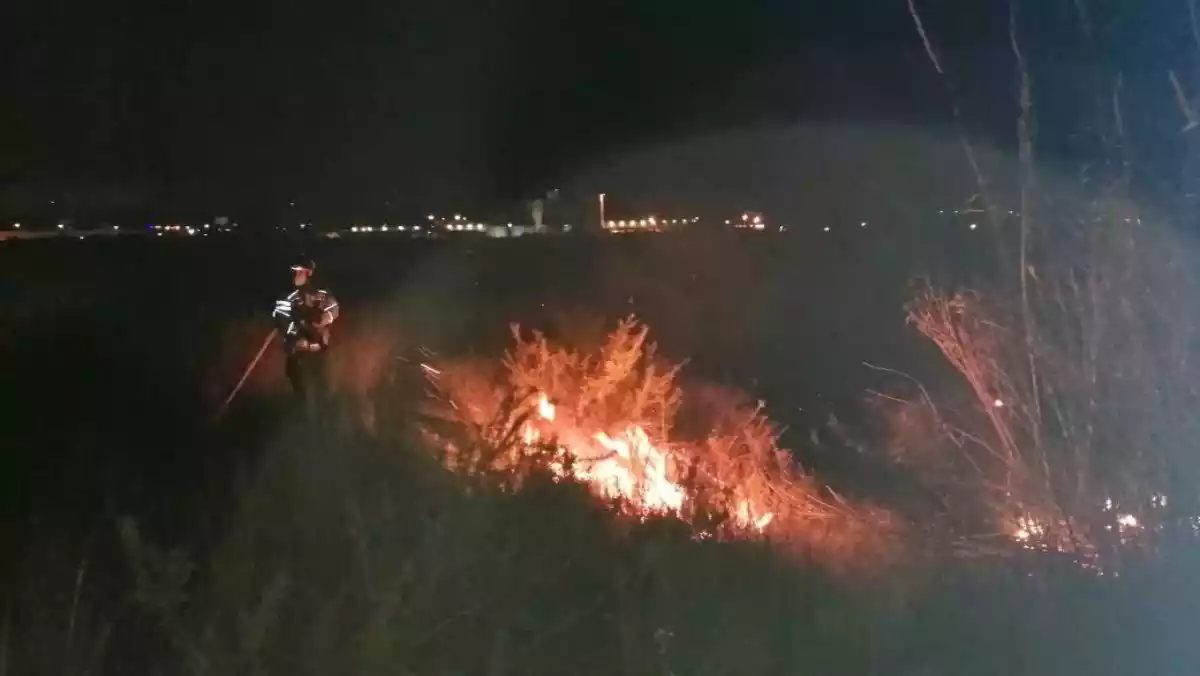 Imatge de l'incendi que va cremar a la Canonja a tocar de l'AP-7