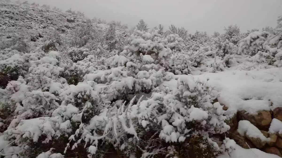 Paisatge de l'Alt Camp nevat