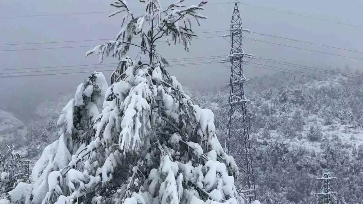 Paisatge del Priorat nevat pel temporal Filomena