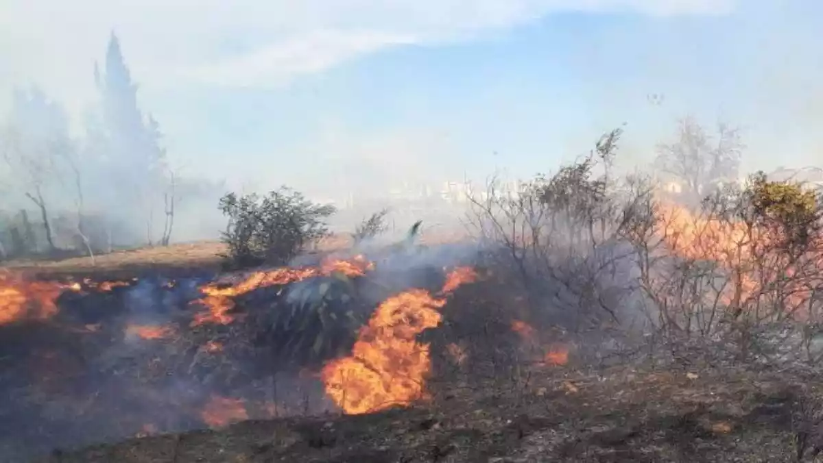Imatge de l'incendi de matolls que crema al polígon industrial de Constantí