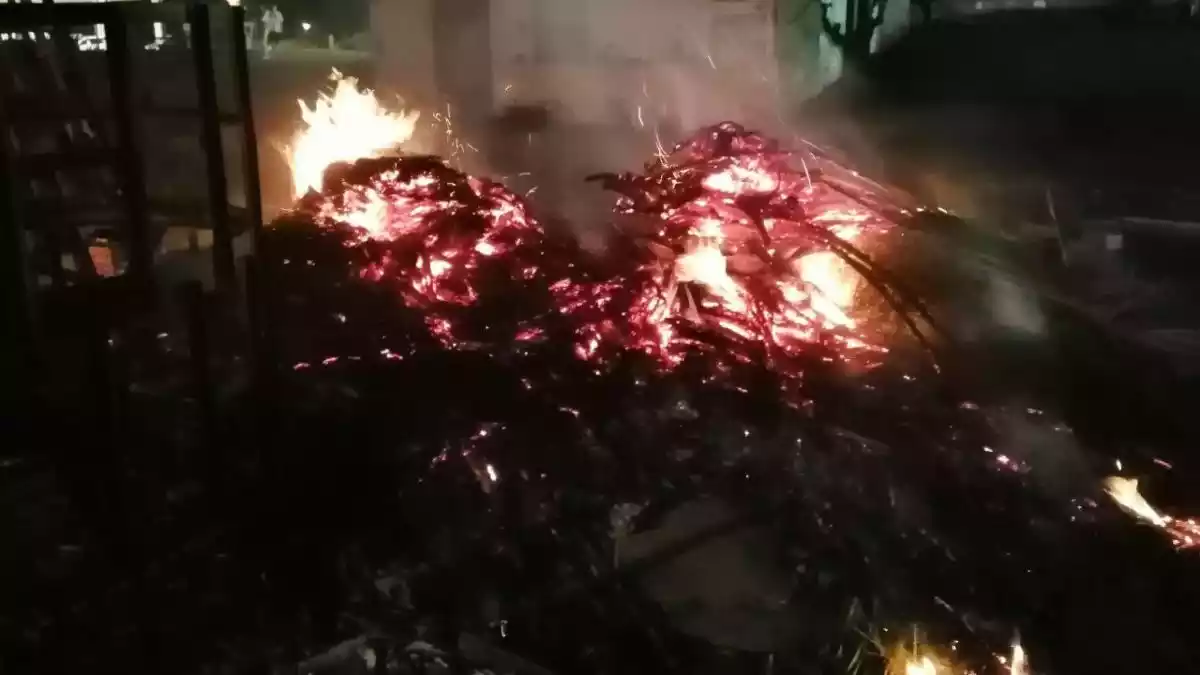 Imatge de l'incendi de restes vegetals a Amposta