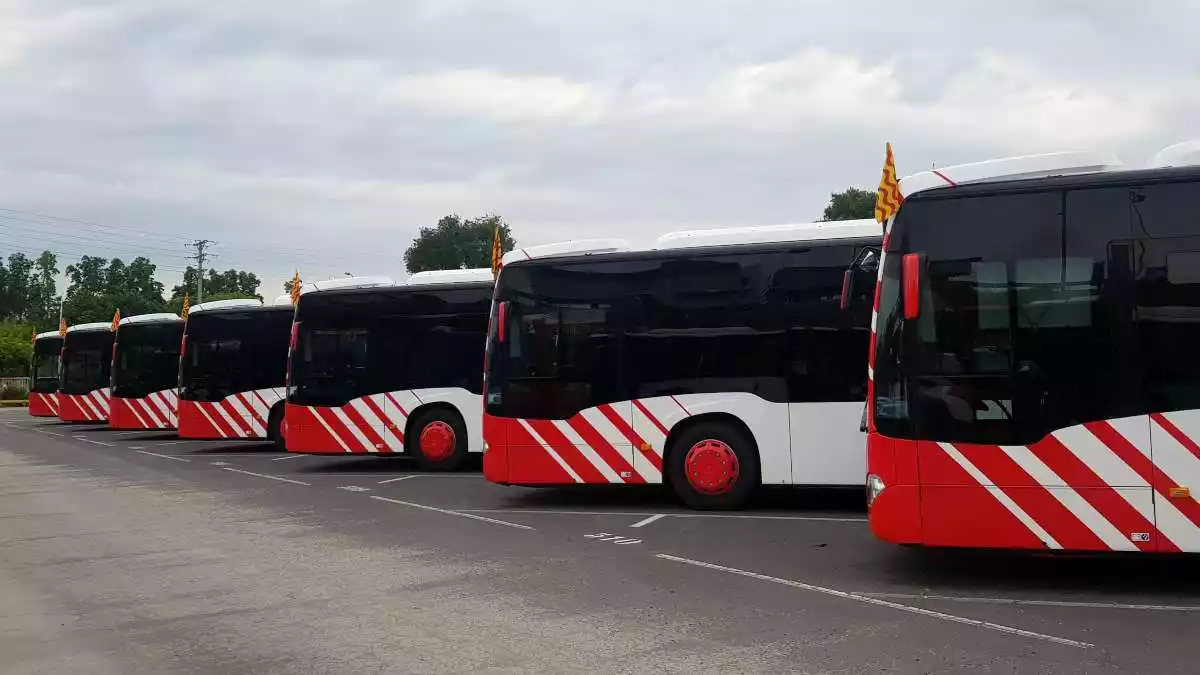 Pla general d'alguns dels autobusos de la flota de l'EMT de Tarragona