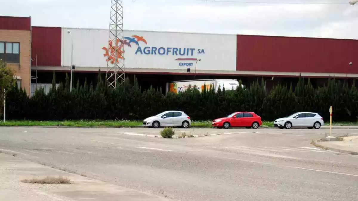 Pla general d'un dels magatzems d'Agrofruit al polígon Baix Ebre de Campredó amb un camió esperant a l'entrada
