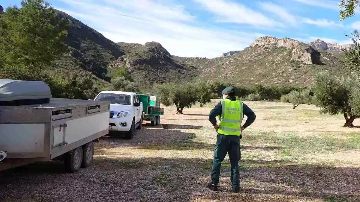 Un agent del SEPRONA, en una imatge d'arxiu