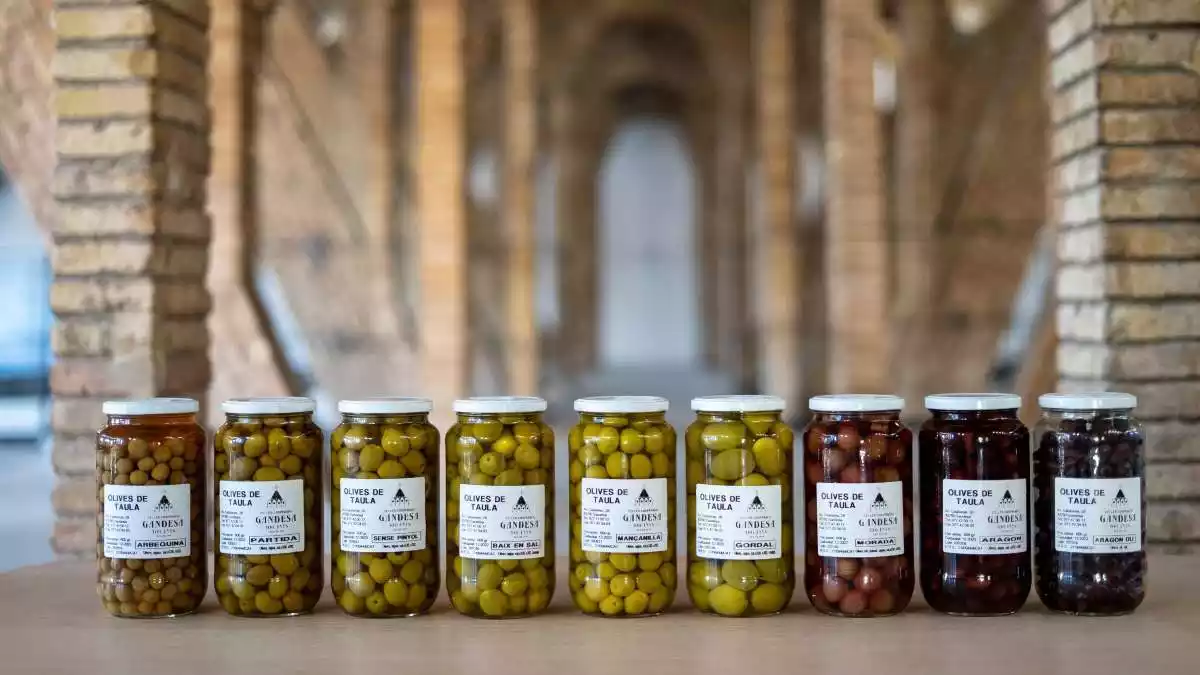 Imatge de diversos envasos d'olives en conserva fetes a la Terra Alta