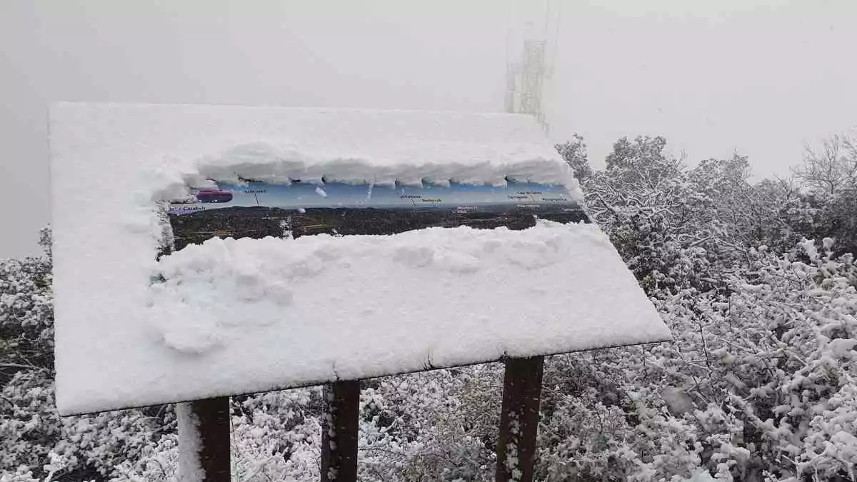 Imatge de la nevada al puig de Montagut, a Querol