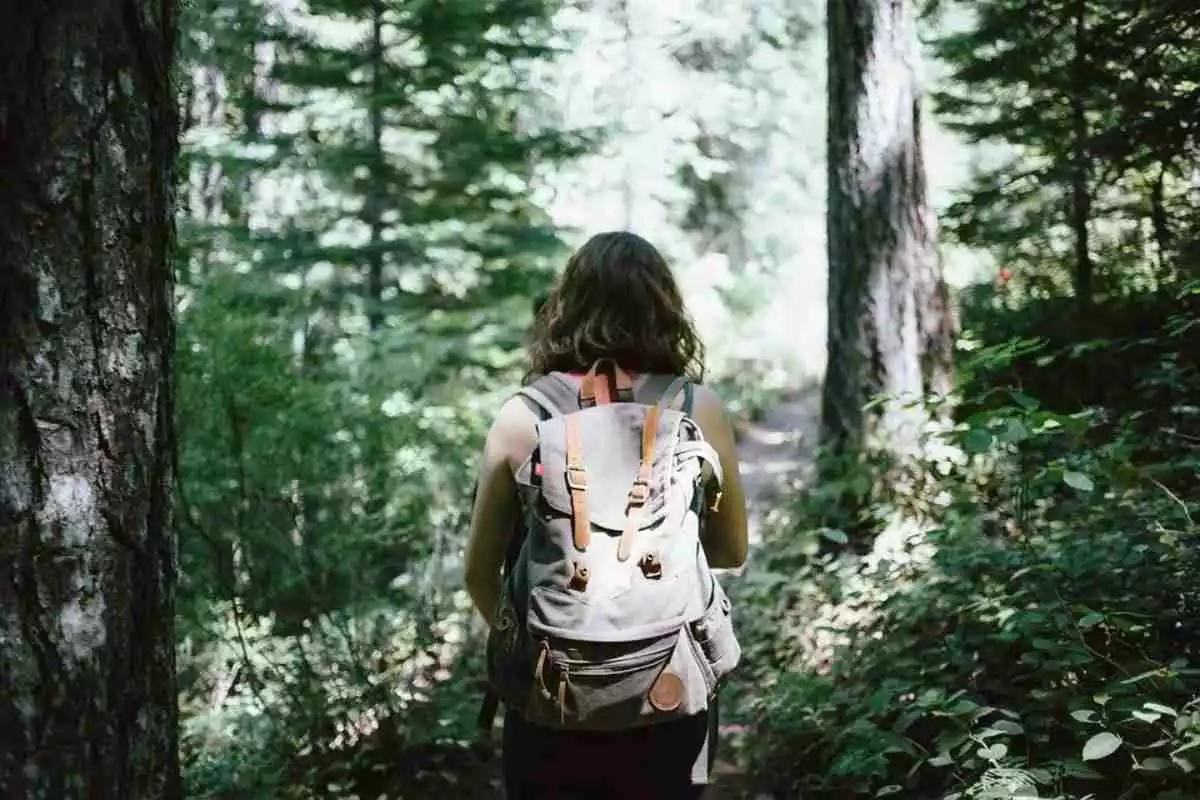 Imatge d'una noia fent una excursió per la muntanya