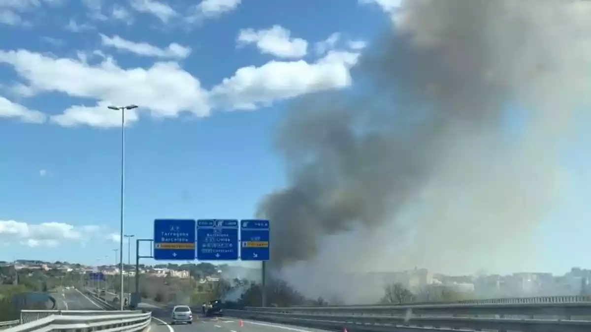Incendi en una zona de vegetació a tocar de l'A-7 a Tarragona