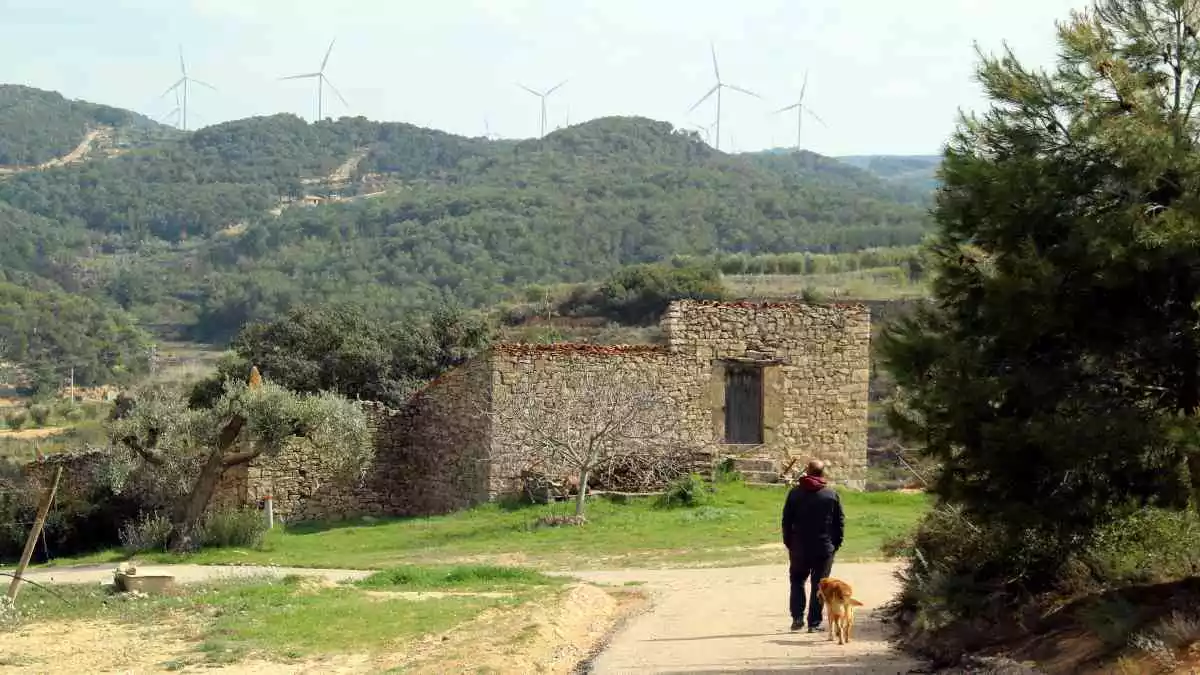 Pla general del viticultor Marco Bernava, davant de l'antic Mas Vernet de la seva finca on preveia desenvolupar un allotjament turístic.