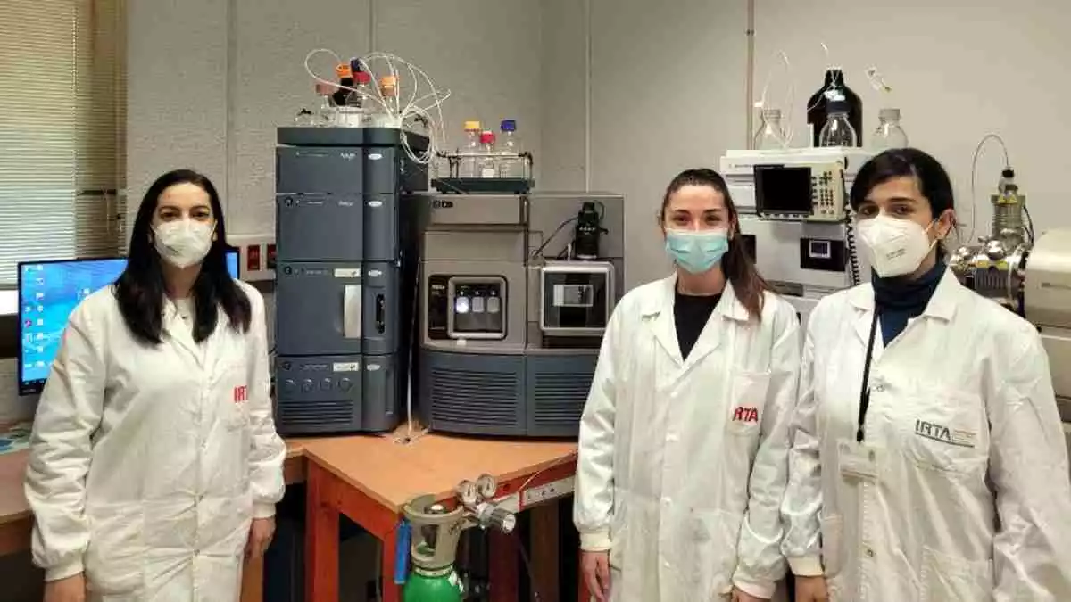 Pla mitjà de les investigadores del laboratori de química de l'IRTA de Sant Carles de la Ràpita