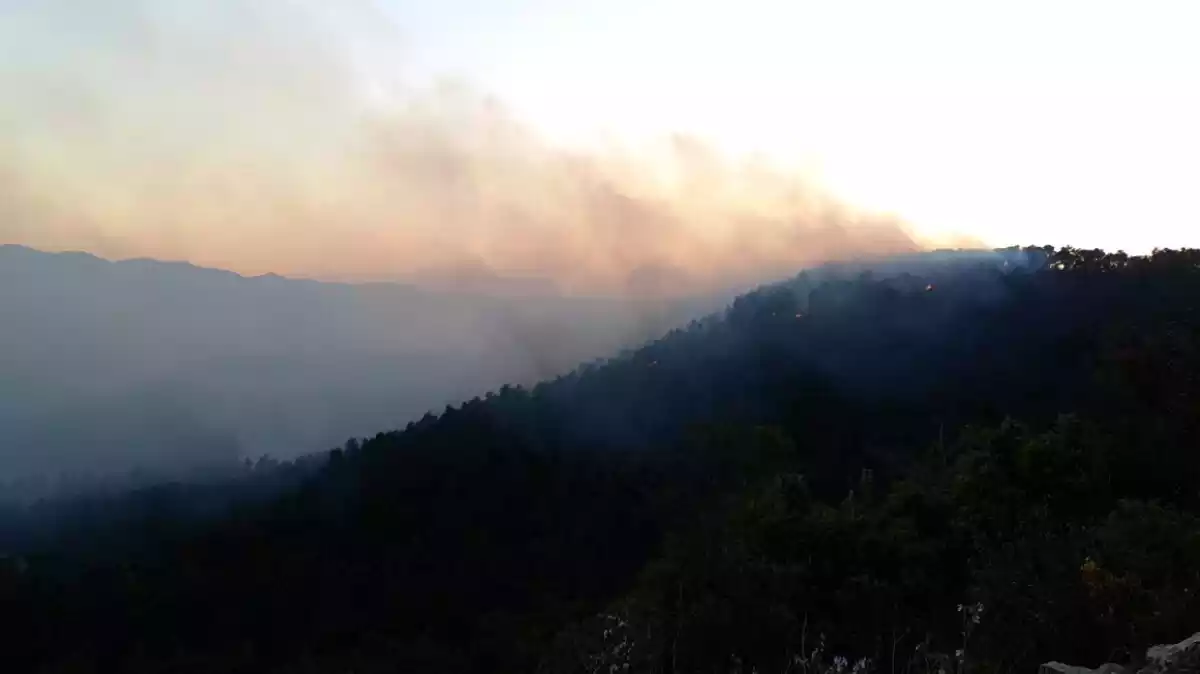Pla obert del fum provocat per l'incendi de la Conca de Barberà.
