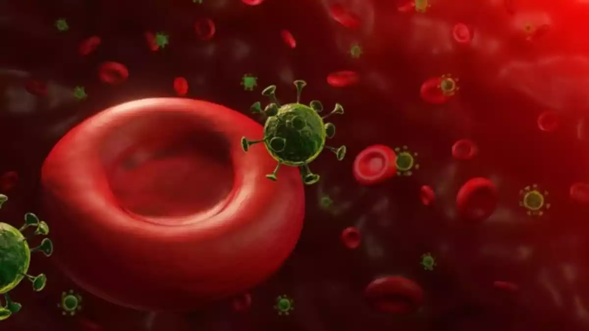 Recreació de glòbuls vermells amb coronavirus