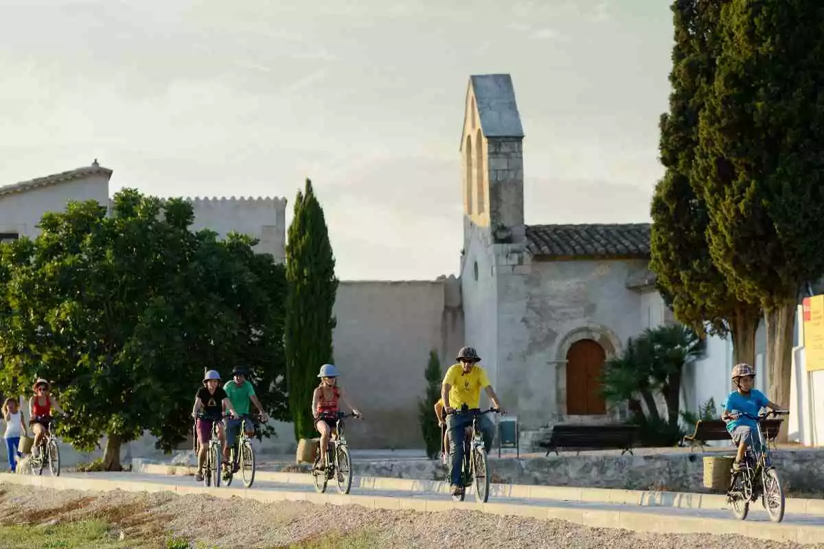 Imatge d'un grup de ciclistes pel Penedès
