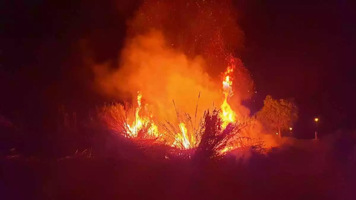 Imatge d'un incendi de canyes