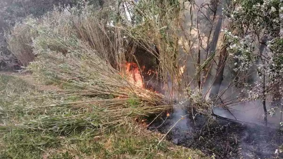 Imatge d'un incendi de vegetació