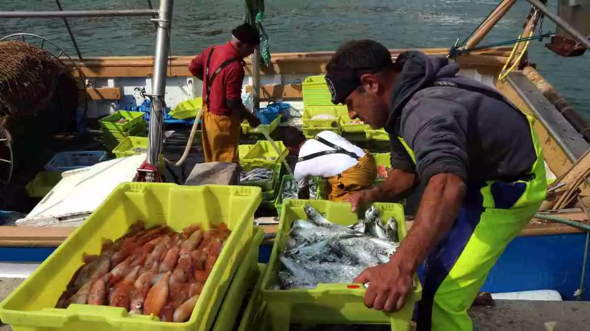 Imatge d'un mariner descarregant caixes de peix al Serrallo de Tarragona