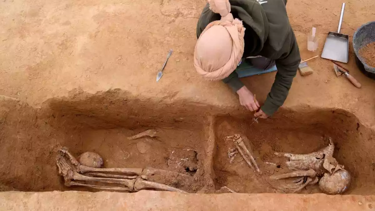 L'excavació d'una de les fosses de la batalla de l'Ebre al Mas de Santa Magdalena, a Móra d'Ebre.