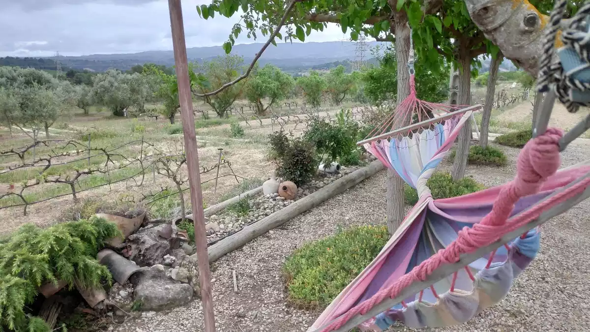 L'hamaca i la vinya vora Flix on Valero Sanmartí ha passat un letargi opiaci de cinc anys.