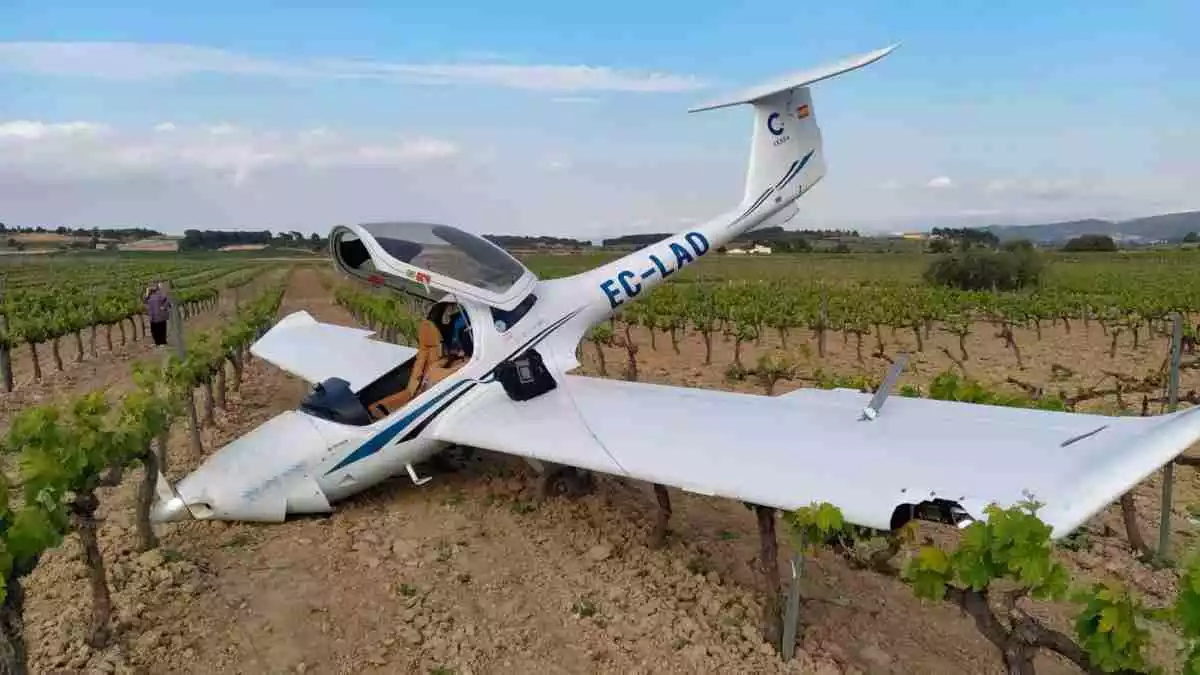 Pla general de l'avioneta del CESDA després de fer un aterratge d'emergència en un camp de vinyes de Sant Jaume dels Domenys, al Baix Penedès