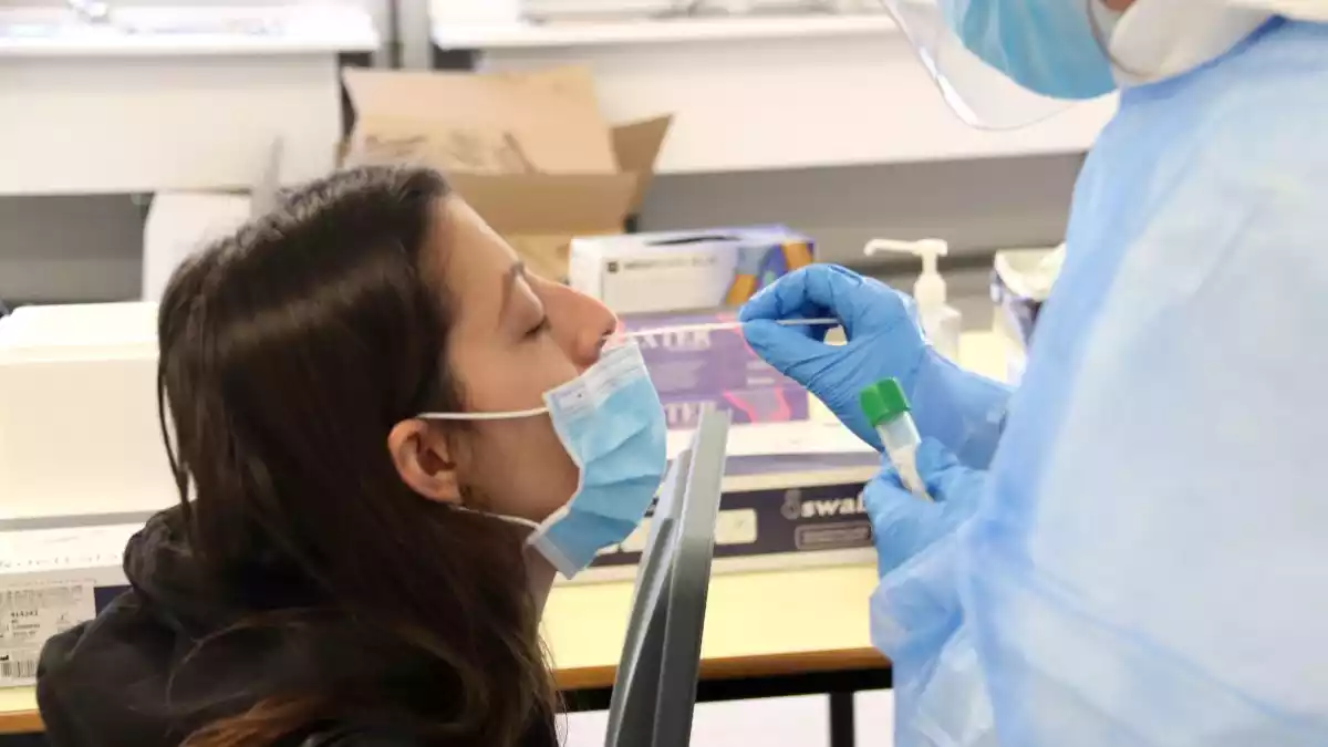 Pla tancat d'una jove mentre li fan una PCR durant una jornada de cribratge massiu