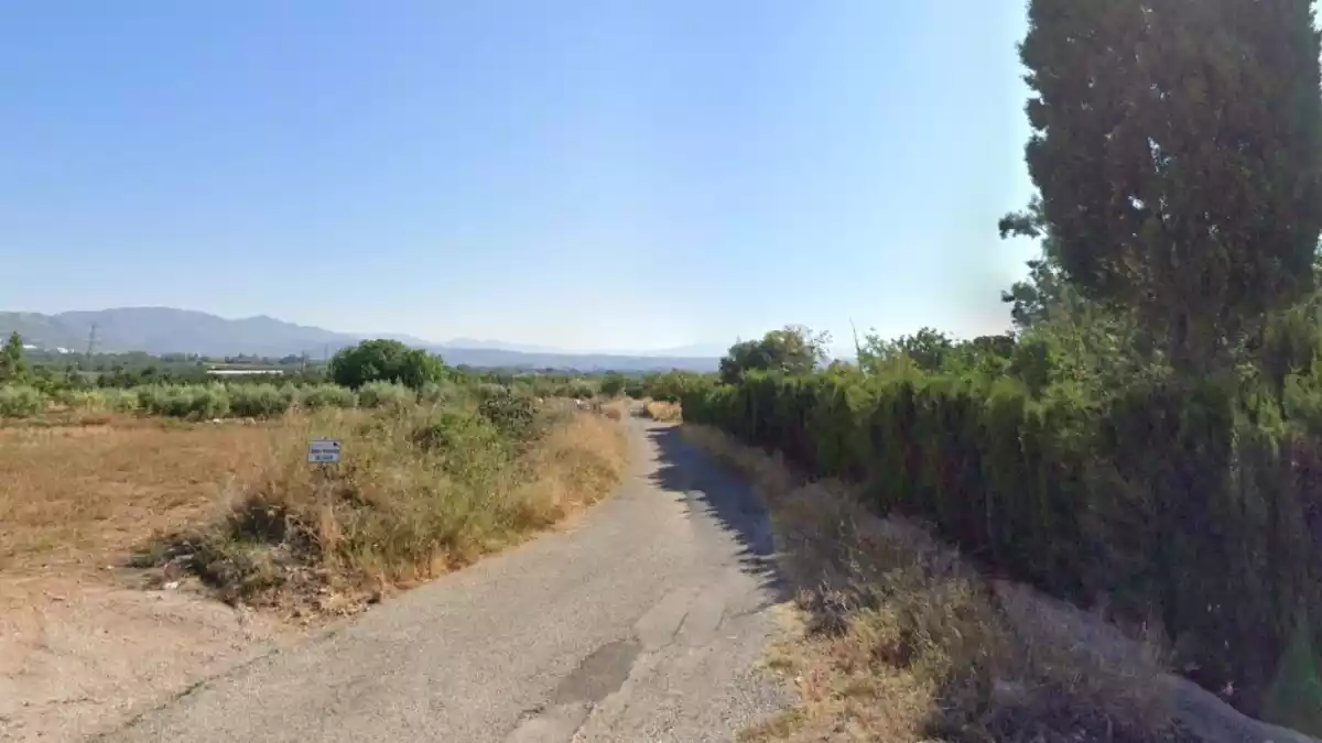Antic camí de Valls a Alcover