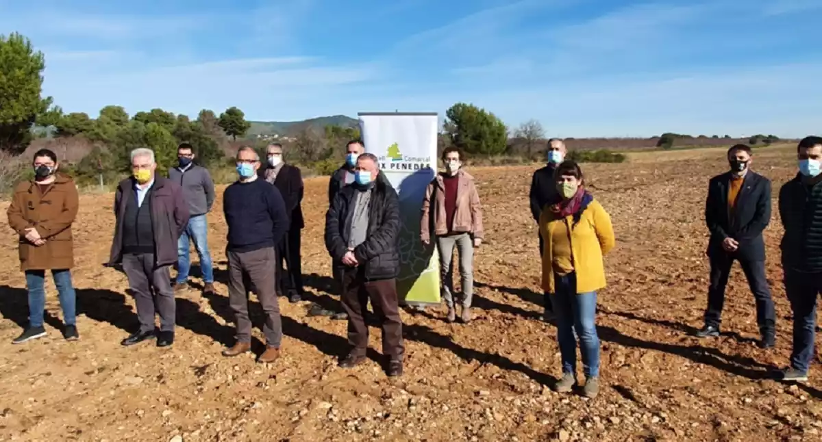 Els alcaldes i alcaldesses del Baix Penedès s'oposen a l'actual llei per impulsar els parcs fotovoltaics.