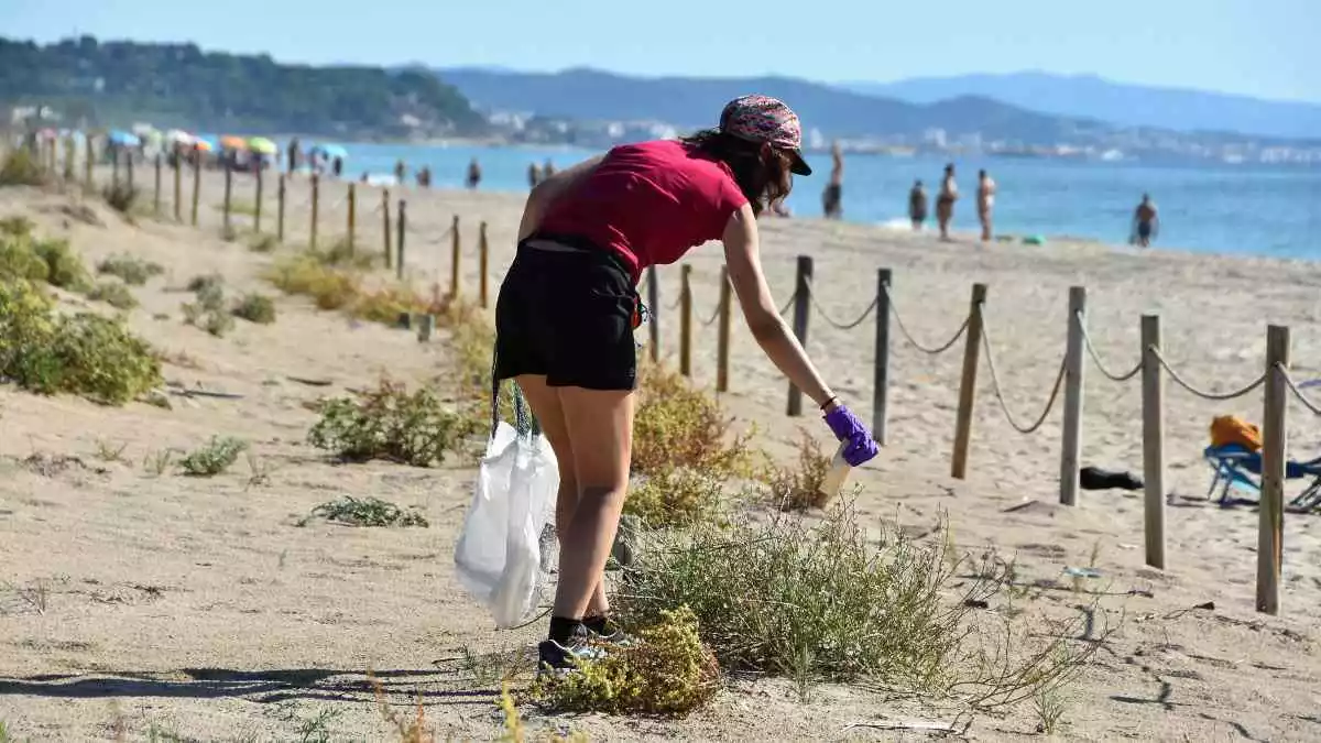 Jornada de neteja del litoral de Torredembarra