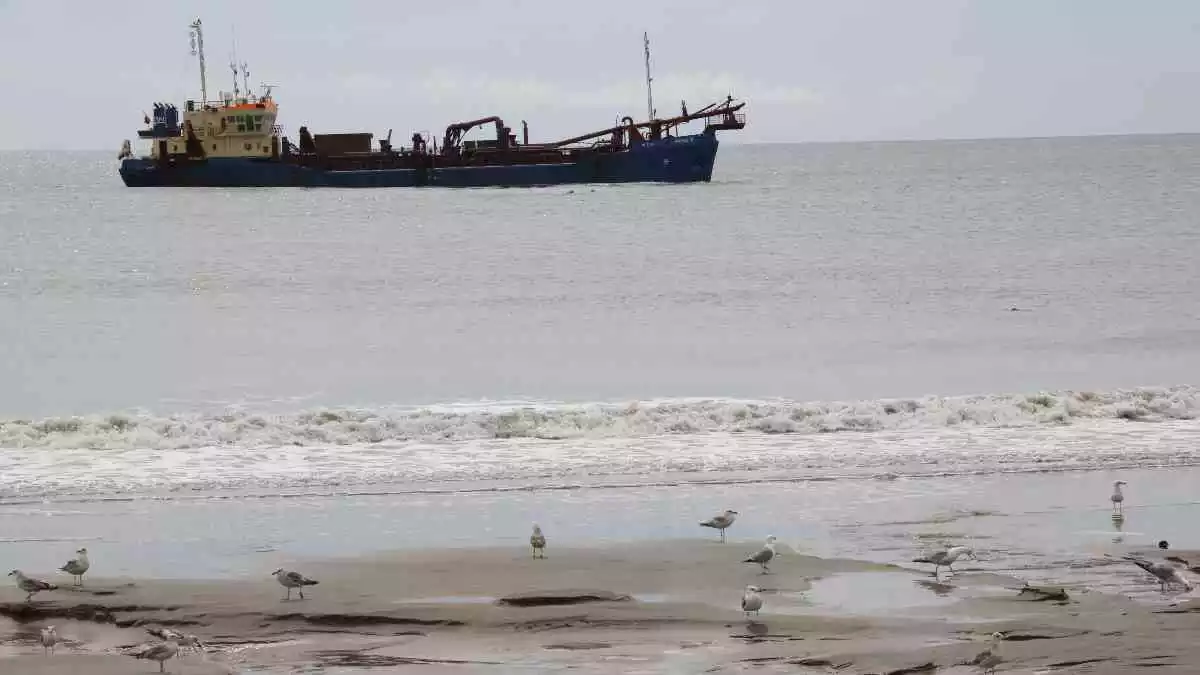 Pla general del vaixell draga i gavines en primer terme a la platja de la Pineda