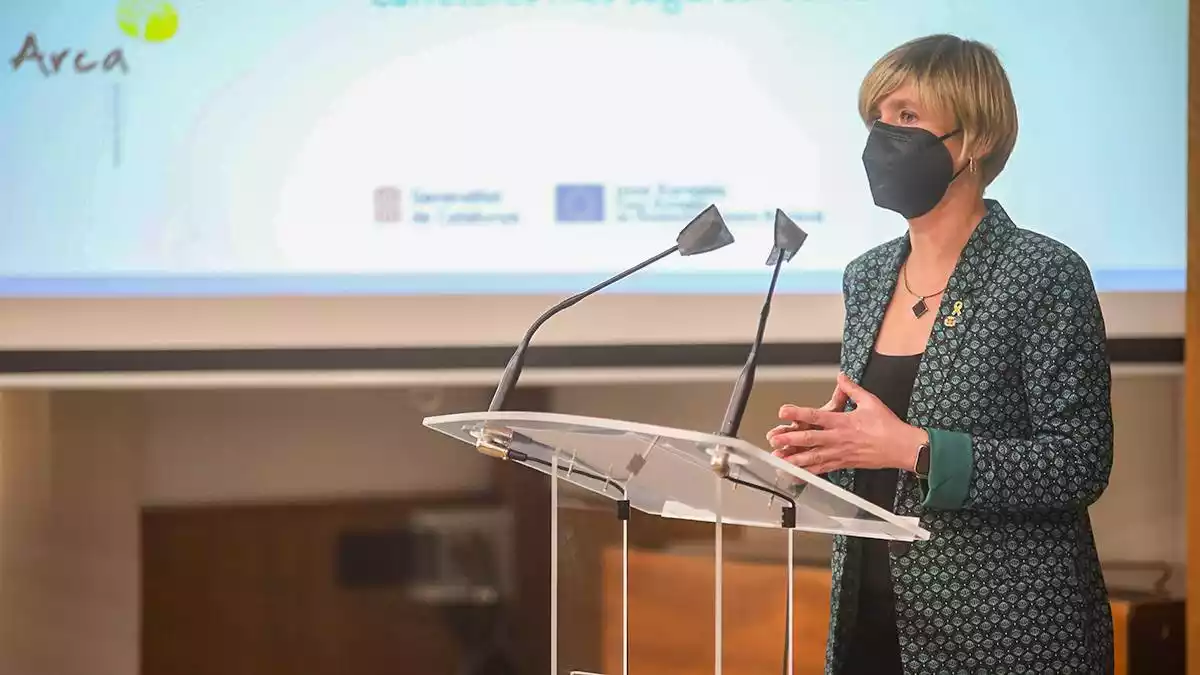 Pla mig de la presidenta de la Diputació de Tarragona, Noemí Llauradó, durant la presentació dels projectes per combatre el despoblament rural i millorar carreteres