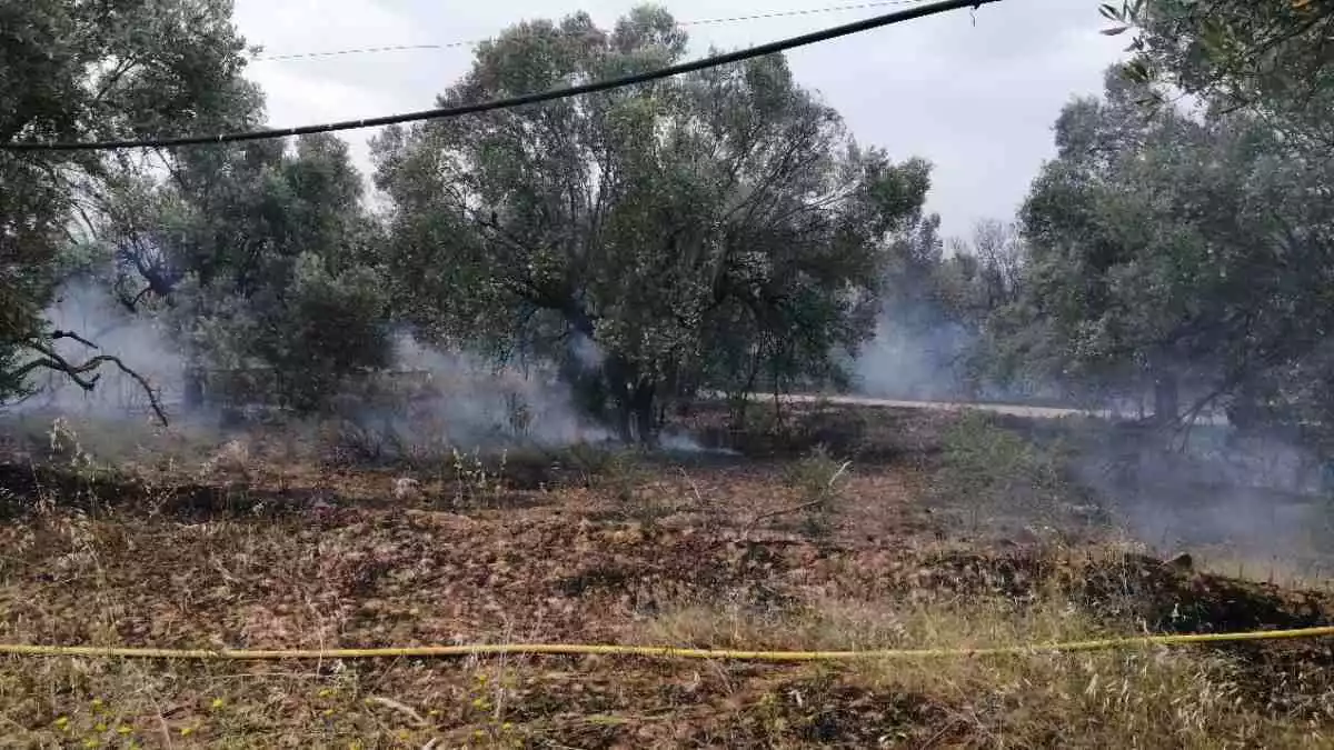 Imatge de l'incendi d'aquest dimarts a la serra de la Fatarella, a la Terra Alta